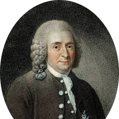 1787157470443.png